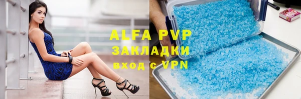 дмт Алзамай