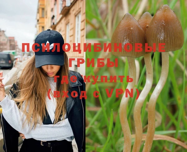 спиды Арсеньев