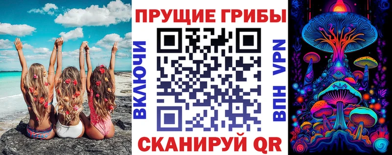 дарнет шоп  Курган  Псилоцибиновые грибы Magic Shrooms 