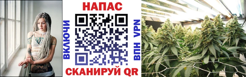 Бошки марихуана ГИДРОПОН  Курган 